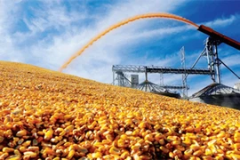 Thương vụ 115 triệu USD của T&T Group: Điểm sáng trên thị trường thức ăn chăn nuôi thời dịch Covid-19