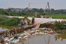 Dịch tả lợn châu phi lan rộng: Huy động công an, quân đội chống dịch