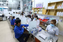 Chữa chứng thạch lâm bằng Đông y