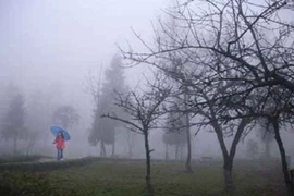 Đồng bằng ít khi có sương muối