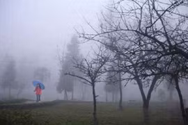 Đồng bằng ít khi có sương muối