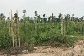 Sẽ thu hồi dự án dùng đất quốc phòng liên doanh nhưng không hiệu quả