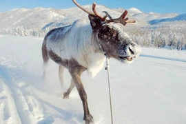 Ngôi làng lạnh nhất thế giới