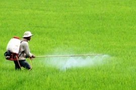 4 đúng trong sử dụng thuốc bảo vệ thực vật