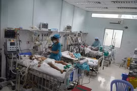 TPHCM ghi nhận hơn 16.000 ca sốt xuất huyết, 9 ca tử vong