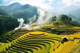 Du lịch sẽ mất từ 2 - 4 năm để hồi phục hoàn toàn