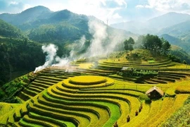 Du lịch sẽ mất từ 2 - 4 năm để hồi phục hoàn toàn