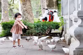 Chùm ảnh: Bình yên Hà Nội!