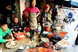 Từ 1/1/2020, không được để vật nuôi chứng kiến đồng loại bị giết mổ