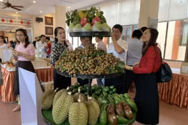 Đắk Lắk kiến nghị Bộ Công Thương hỗ trợ tiêu thụ sầu riêng và bơ