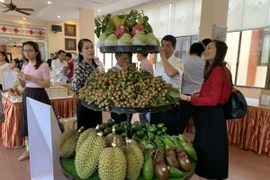 Đắk Lắk kiến nghị Bộ Công Thương hỗ trợ tiêu thụ sầu riêng và bơ