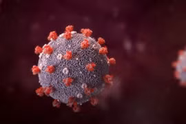 Vì sao biến chủng SARS-CoV-2 lây lan nhanh ở Việt Nam?