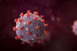 Vì sao biến chủng SARS-CoV-2 lây lan nhanh ở Việt Nam?