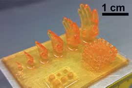 In 3D hydrogel, chìa khóa cho sản xuất các cơ quan nhân tạo