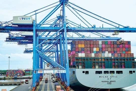 Cước vận tải container tiếp tục tăng phi mã