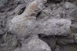 Hàng loạt dấu chân khủng long phát lộ sau bão tại Anh