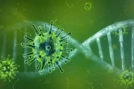 Biến đổi gene virus có thể chế tạo văcxin chống SARS-CoV-2