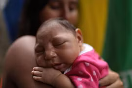 Phát hiện trường hợp nhiễm virus gây bệnh đầu nhỏ tại Đà Nẵng