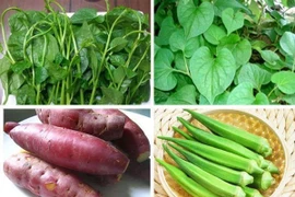 Chủ quan với táo bón phải nhập viện điều trị trĩ