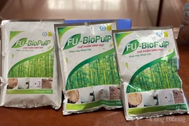  Chế phẩm sinh học phân hủy nhựa cây