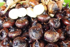 Mã thầy giải nhiệt