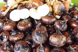 Mã thầy giải nhiệt