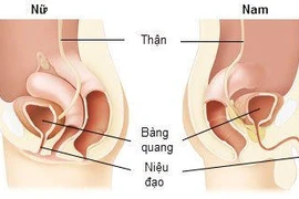 Đau rát niệu đạo khi xuất tinh