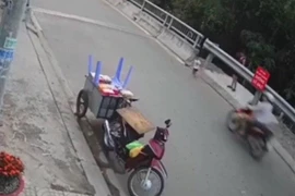 Cháu bé đang chơi đùa cùng mẹ thì bất ngờ chui qua rào chắn và chạy băng sang đường bị xe máy tông trúng.