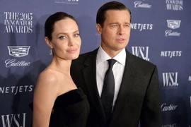 Angelina Jolie âm thầm bán cổ phần, Brad Pitt kiện vợ cũ