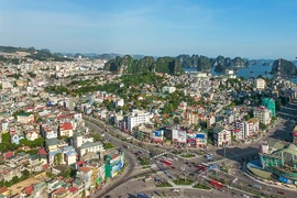 Quảng Ninh: Sốt đất ảo, TP Hạ Long lên tiếng cảnh báo người dân