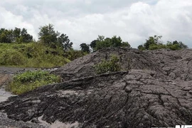 Hàng chục tấn bùn thải Nhà máy Alumin Nhân Cơ đổ trái phép ở Đắk Nông