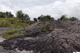 Hàng chục tấn bùn thải Nhà máy Alumin Nhân Cơ đổ trái phép ở Đắk Nông