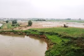 Hà Nội xử lý khẩn cấp sự cố sạt lở bờ hữu sông Cà Lồ