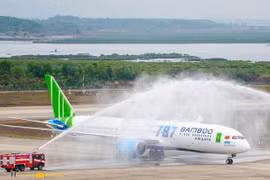 Cơ chế "cứu" hãng bay