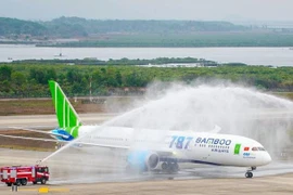 Cơ chế "cứu" hãng bay