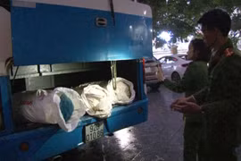 Phát hiện xe ô tô chở 200kg mỡ, da heo bốc mùi