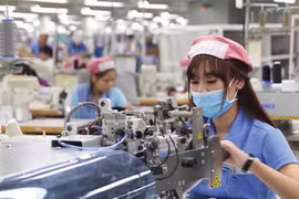 Hỗ trợ pháp lý liên ngành cho doanh nghiệp nhỏ và vừa