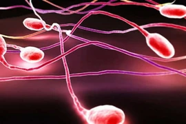 Các bệnh khiến tinh dịch có máu