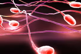 Các bệnh khiến tinh dịch có máu