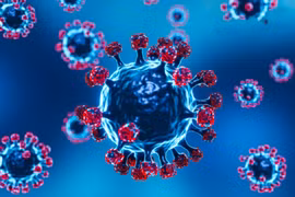 Xuất hiện dòng phụ thế hệ thứ 2 của Omicron