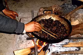 Lên Tả Phìn ăn… thịt chuột rừng gác bếp