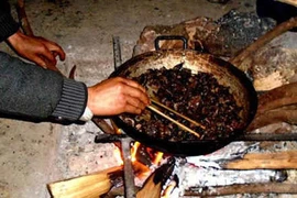 Lên Tả Phìn ăn… thịt chuột rừng gác bếp