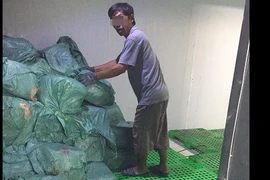 TPHCM: Phát hiện và xử lý hơn 5,5 tấn thịt, hải sản không rõ nguồn gốc