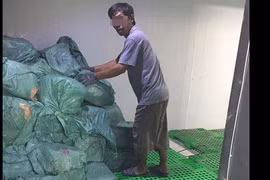 TPHCM: Phát hiện và xử lý hơn 5,5 tấn thịt, hải sản không rõ nguồn gốc