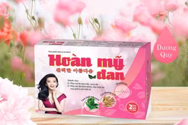 Hoàn Mỹ Đan hỗ trợ điều trị nám có tốt không?