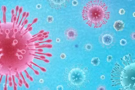 Virus lai phục vụ nghiên cứu an toàn và phát triển văcxin