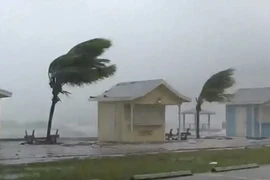 Điều kiện hình thành bão