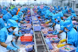 7 tháng, kim ngạch xuất khẩu hàng hóa cả nước tăng 25,5%