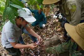 Bổ sung gần 427 tỷ đồng cho bảo vệ và phát triển rừng năm 2021