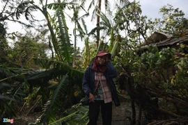 Tránh bão về, người dân bật khóc